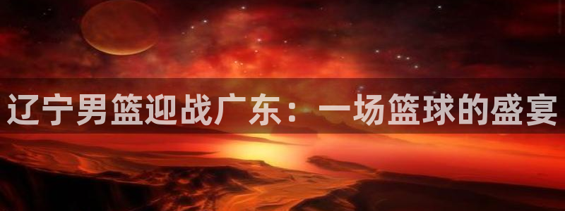 辽宁男篮迎战广东：一场篮球的盛宴