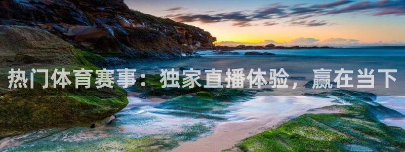 热门体育赛事：独家直播体验，赢在当下