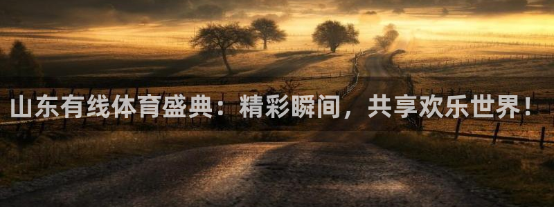 山东有线体育盛典：精彩瞬间，共享欢乐世界！
