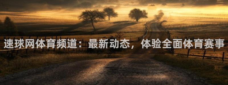 速球网体育频道：最新动态，体验全面体育赛事