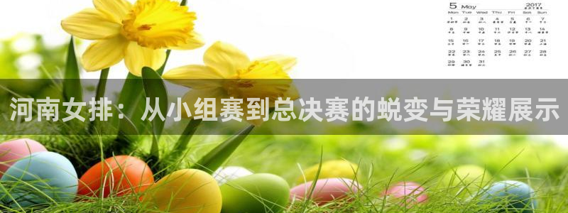 河南女排：从小组赛到总决赛的蜕变与荣耀展示
