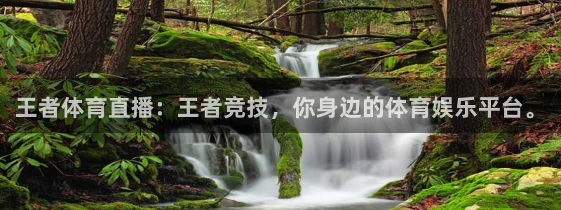 王者体育直播：王者竞技，你身边的体育娱乐平台。