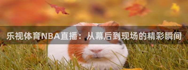 乐视体育NBA直播：从幕后到现场的精彩瞬间