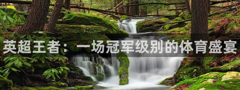 英超王者：一场冠军级别的体育盛宴
