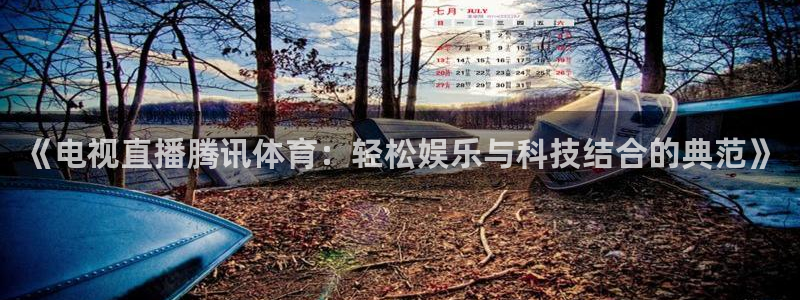 《电视直播腾讯体育：轻松娱乐与科技结合的典范》
